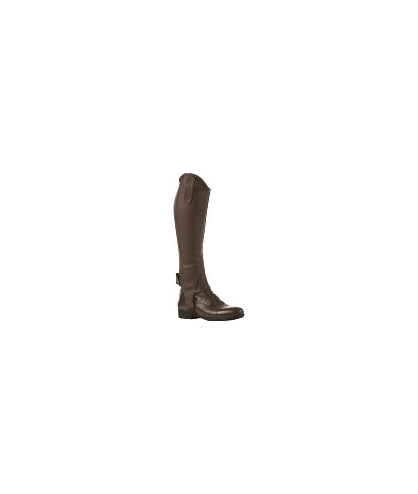 Mini-chaps d'équitation NORTON synthétique