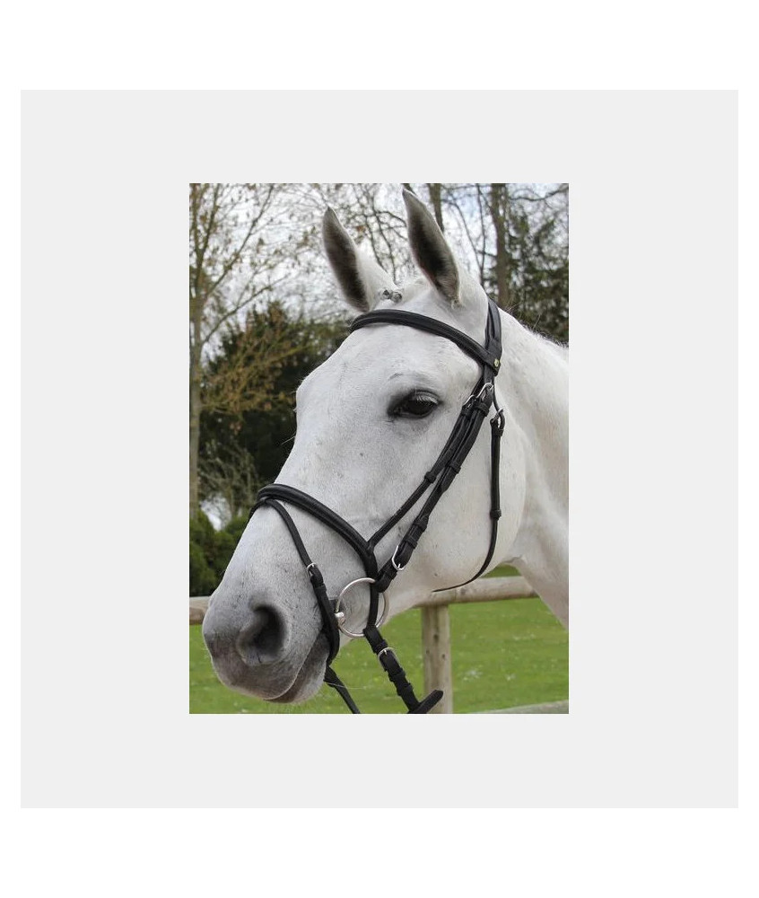 Bridon d'équitation TREADSTONE Orient richtan
