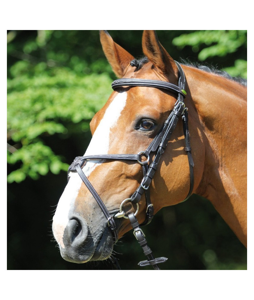 Bridon d'équitation PROTANNER Alba