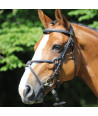 Bridon d'équitation PROTANNER Alba