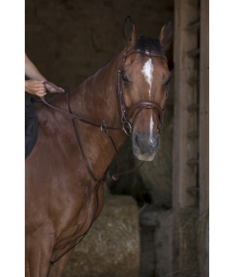 Martingale à anneaux NORTON pro