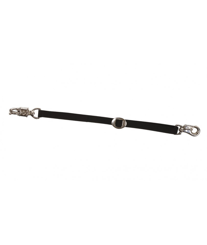 Longe d'attache NORTON pour camion