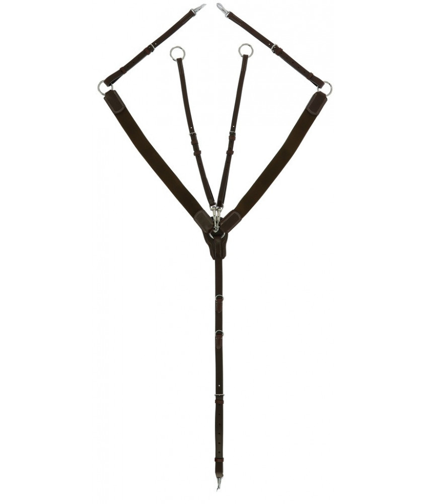 Collier de chasse élastique NORTON pro