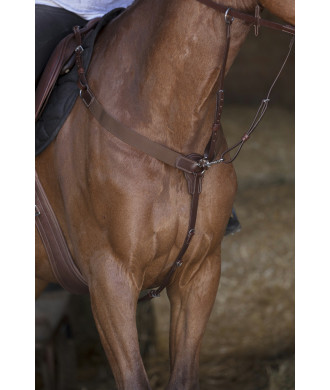 Collier de chasse élastique NORTON pro