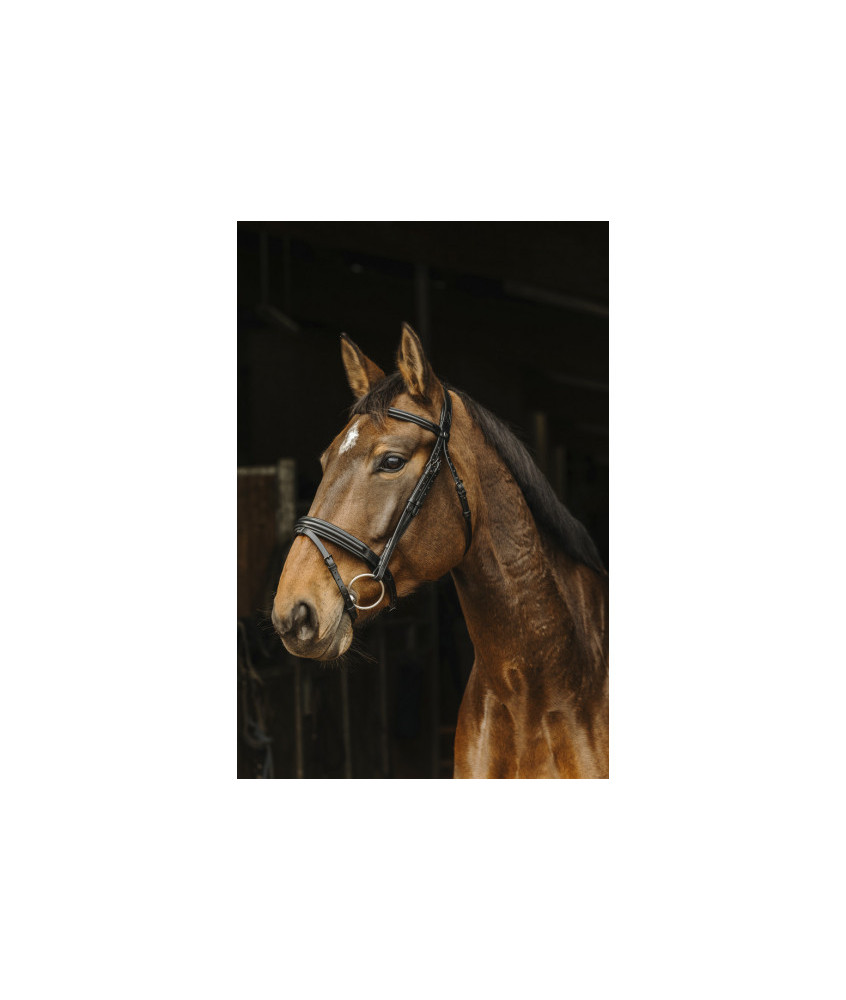 Bridon Norton Pro Apophyse